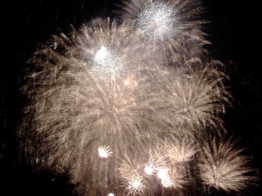 Fireworks (13)
